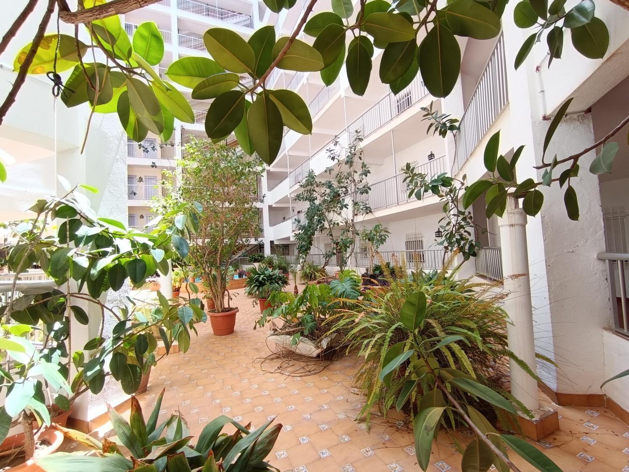 Amazing Beach Apartment Cullera Ngoại thất bức ảnh