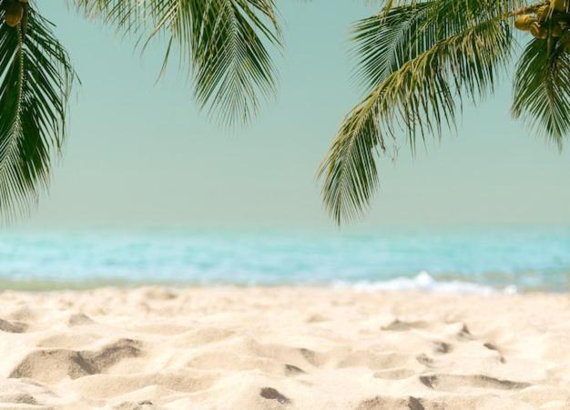Amazing Beach Apartment Cullera Ngoại thất bức ảnh